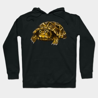 Ornate Box Turtle Hoodie